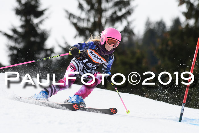 Ziener Cup WF, RS, 24.02.2019