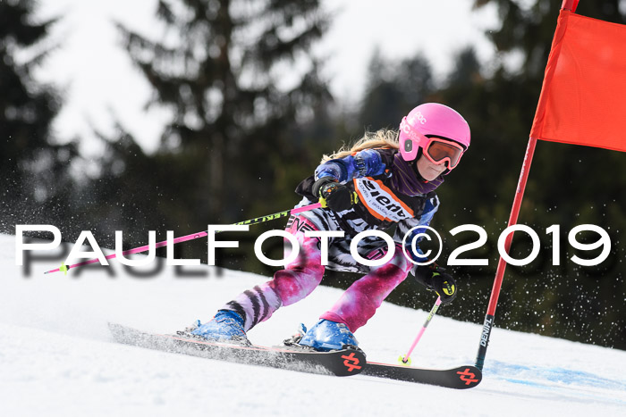 Ziener Cup WF, RS, 24.02.2019