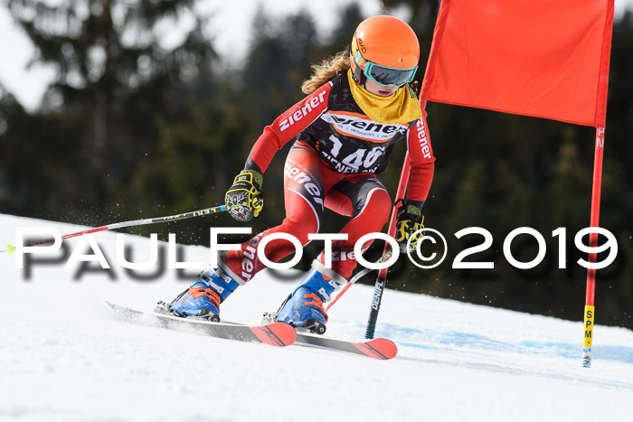 Ziener Cup WF, RS, 24.02.2019