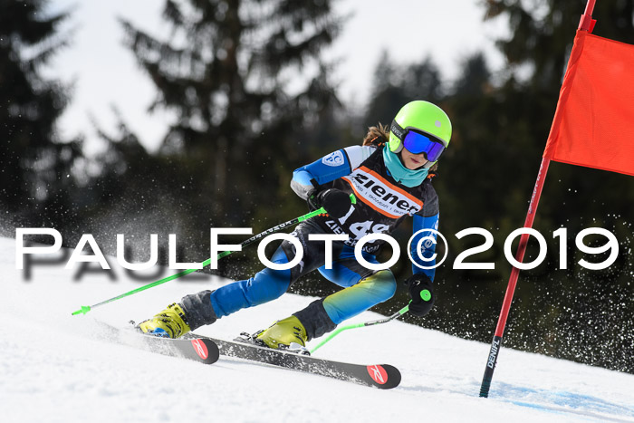 Ziener Cup WF, RS, 24.02.2019