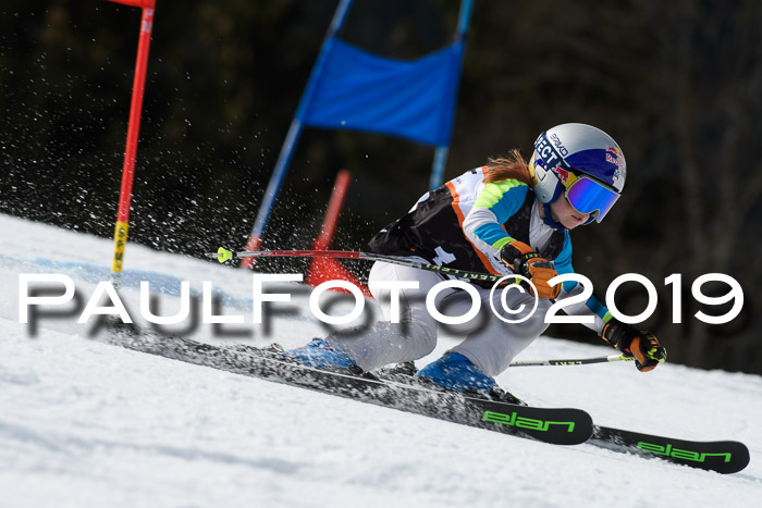 Ziener Cup WF, RS, 24.02.2019