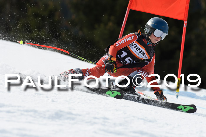 Ziener Cup WF, RS, 24.02.2019