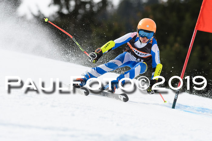 Ziener Cup WF, RS, 24.02.2019