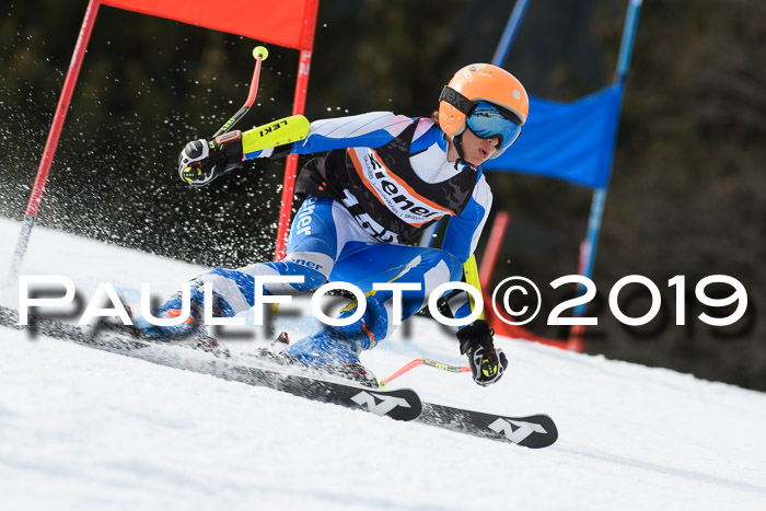 Ziener Cup WF, RS, 24.02.2019