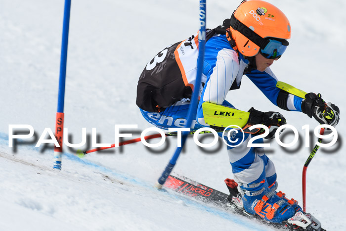 Ziener Cup WF, RS, 24.02.2019