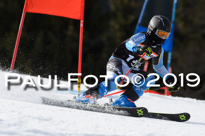 Ziener Cup WF, RS, 24.02.2019