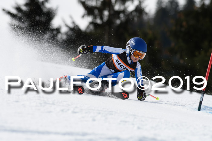 Ziener Cup WF, RS, 24.02.2019