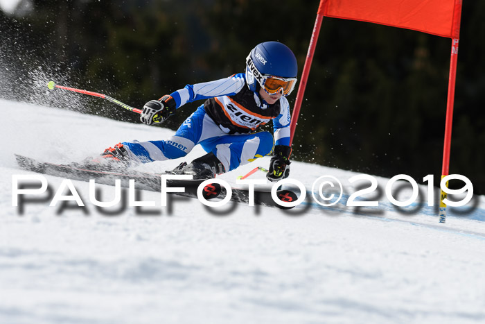 Ziener Cup WF, RS, 24.02.2019