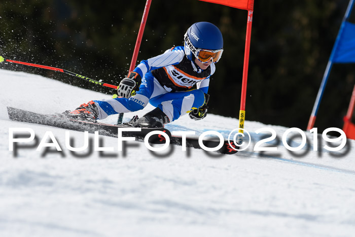 Ziener Cup WF, RS, 24.02.2019