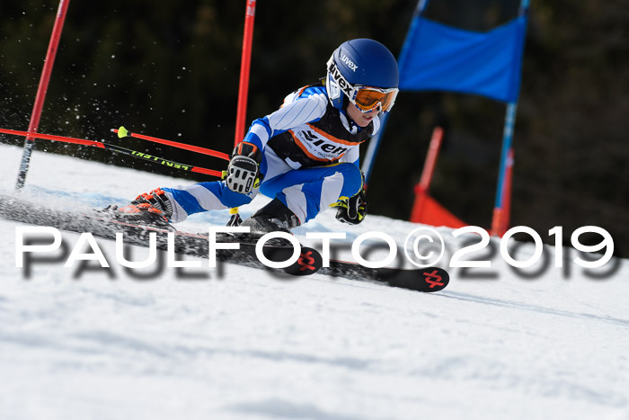 Ziener Cup WF, RS, 24.02.2019