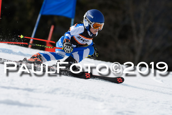 Ziener Cup WF, RS, 24.02.2019