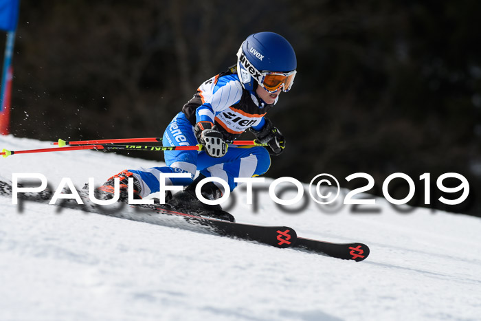 Ziener Cup WF, RS, 24.02.2019