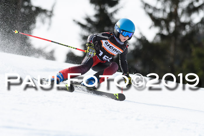 Ziener Cup WF, RS, 24.02.2019