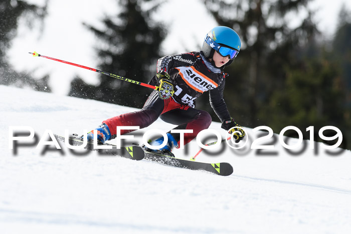 Ziener Cup WF, RS, 24.02.2019