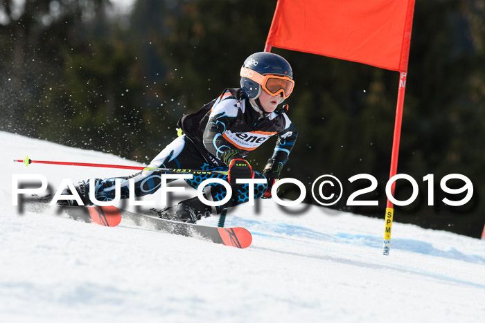 Ziener Cup WF, RS, 24.02.2019