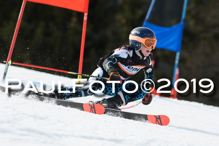 Ziener Cup WF, RS, 24.02.2019