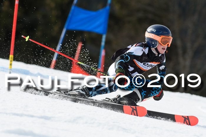 Ziener Cup WF, RS, 24.02.2019