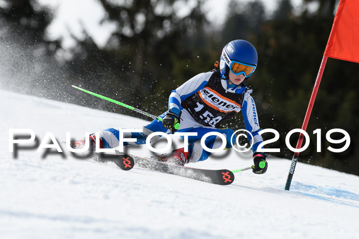 Ziener Cup WF, RS, 24.02.2019