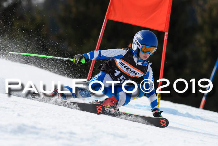 Ziener Cup WF, RS, 24.02.2019