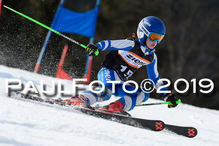 Ziener Cup WF, RS, 24.02.2019