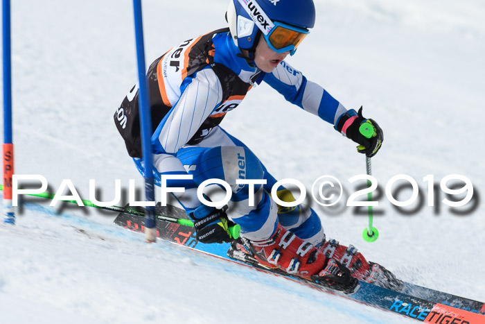 Ziener Cup WF, RS, 24.02.2019