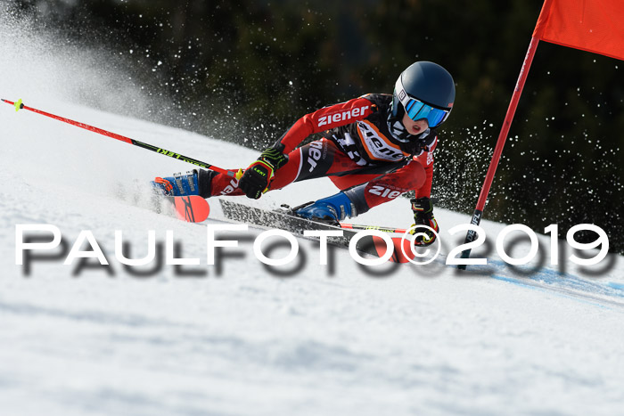 Ziener Cup WF, RS, 24.02.2019