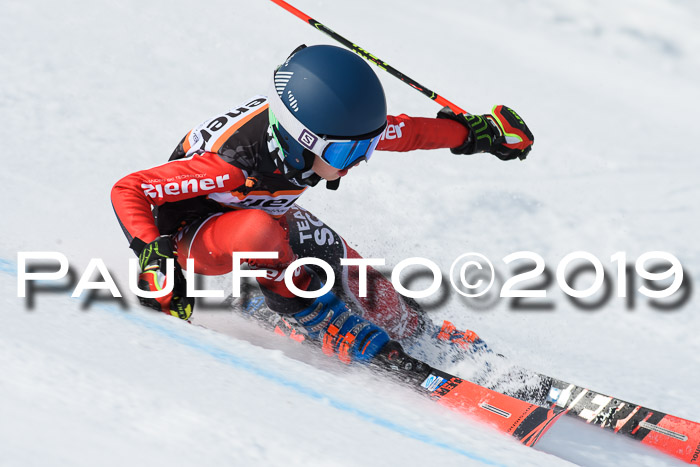 Ziener Cup WF, RS, 24.02.2019