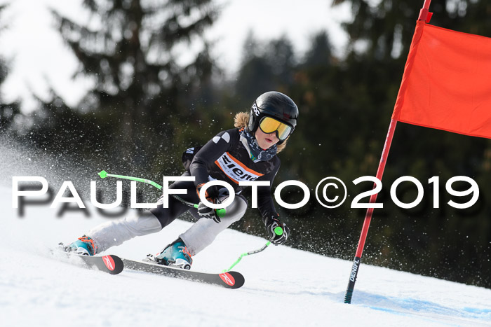 Ziener Cup WF, RS, 24.02.2019