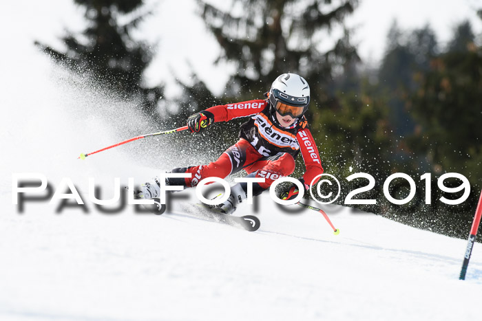 Ziener Cup WF, RS, 24.02.2019