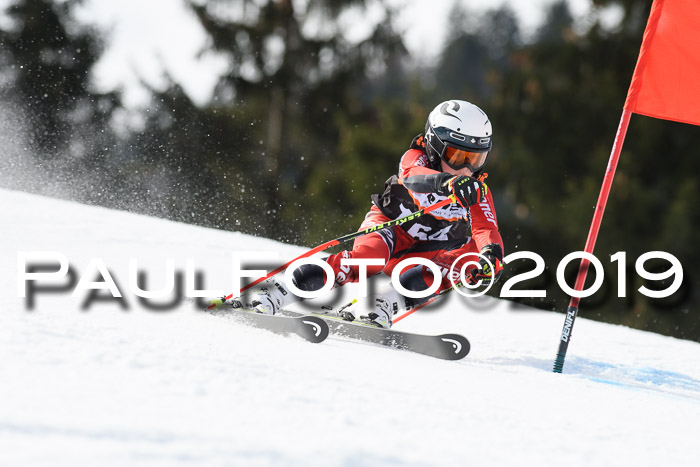 Ziener Cup WF, RS, 24.02.2019