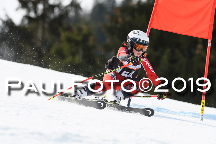 Ziener Cup WF, RS, 24.02.2019