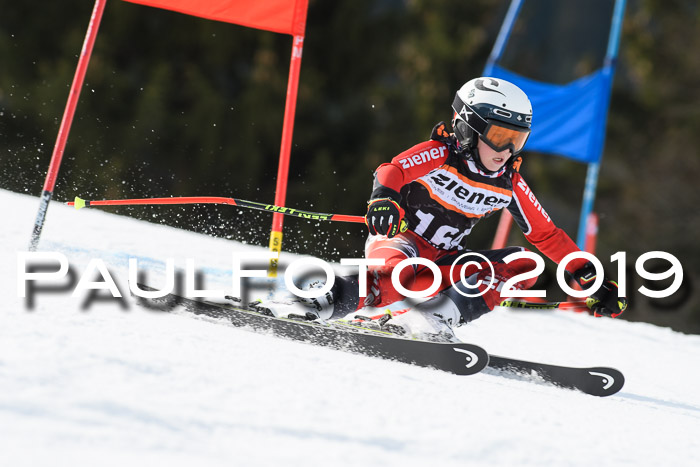 Ziener Cup WF, RS, 24.02.2019