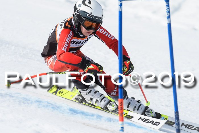 Ziener Cup WF, RS, 24.02.2019