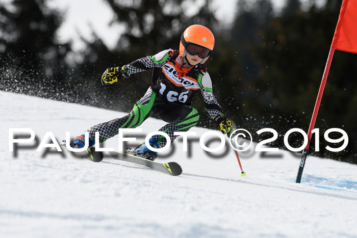 Ziener Cup WF, RS, 24.02.2019