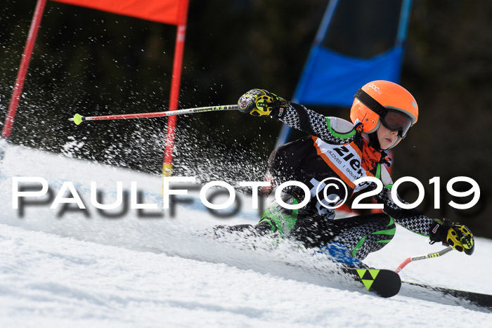 Ziener Cup WF, RS, 24.02.2019