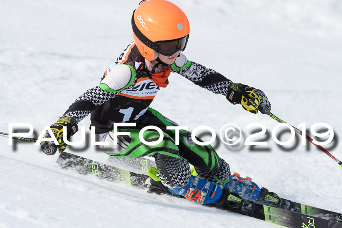 Ziener Cup WF, RS, 24.02.2019