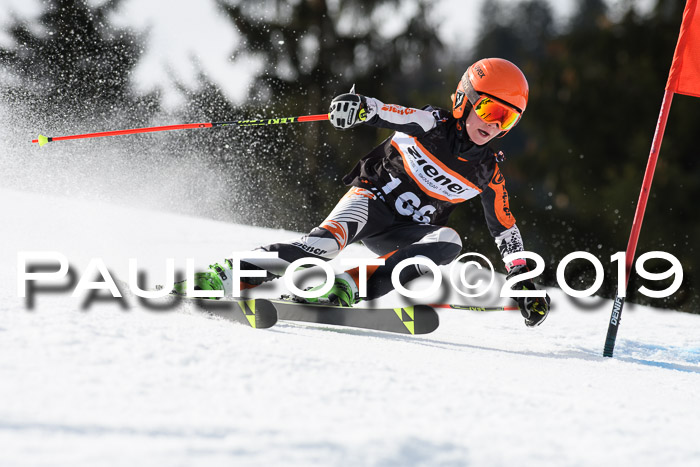 Ziener Cup WF, RS, 24.02.2019