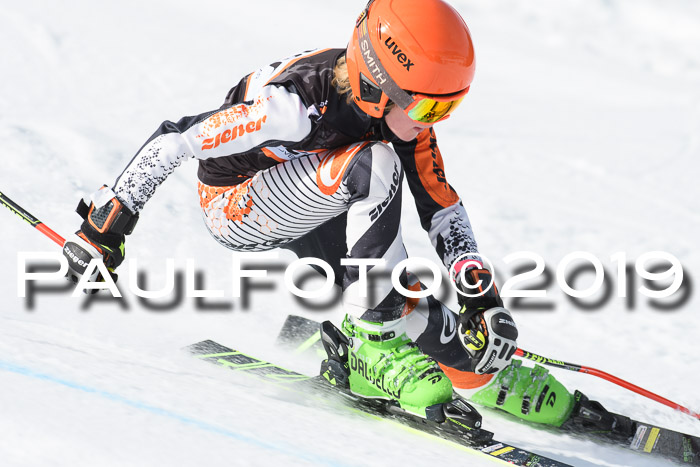 Ziener Cup WF, RS, 24.02.2019