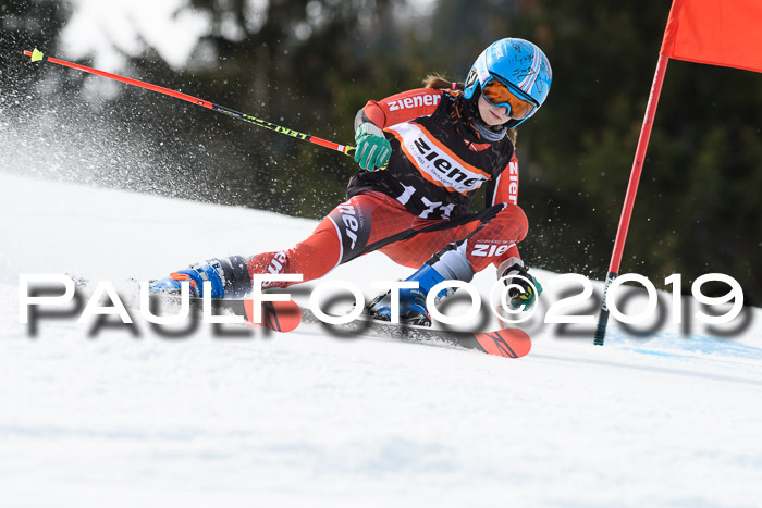 Ziener Cup WF, RS, 24.02.2019