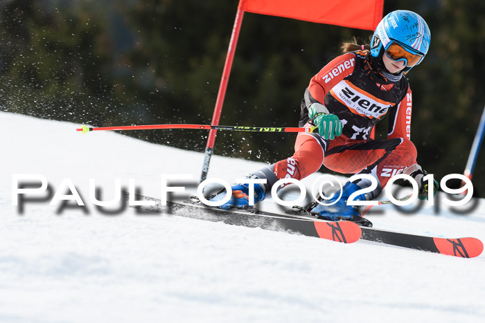 Ziener Cup WF, RS, 24.02.2019