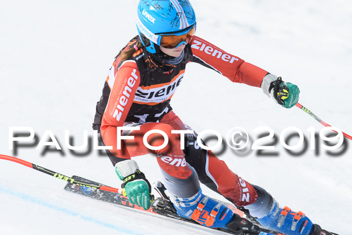 Ziener Cup WF, RS, 24.02.2019