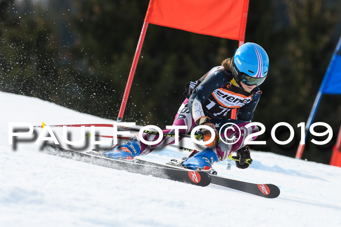 Ziener Cup WF, RS, 24.02.2019