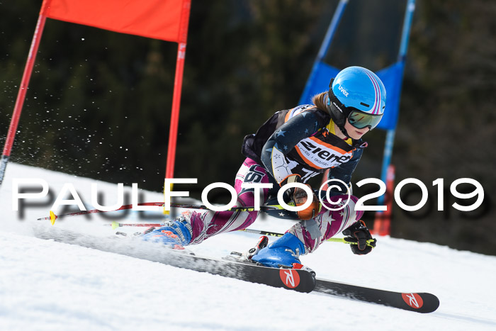 Ziener Cup WF, RS, 24.02.2019