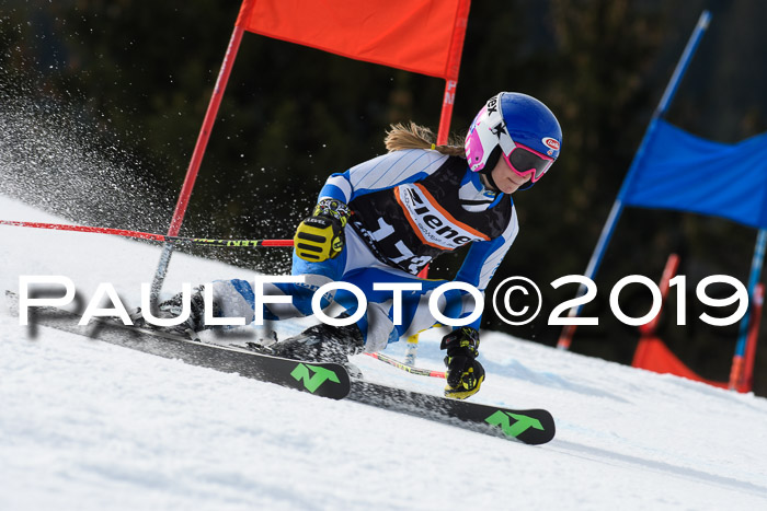 Ziener Cup WF, RS, 24.02.2019