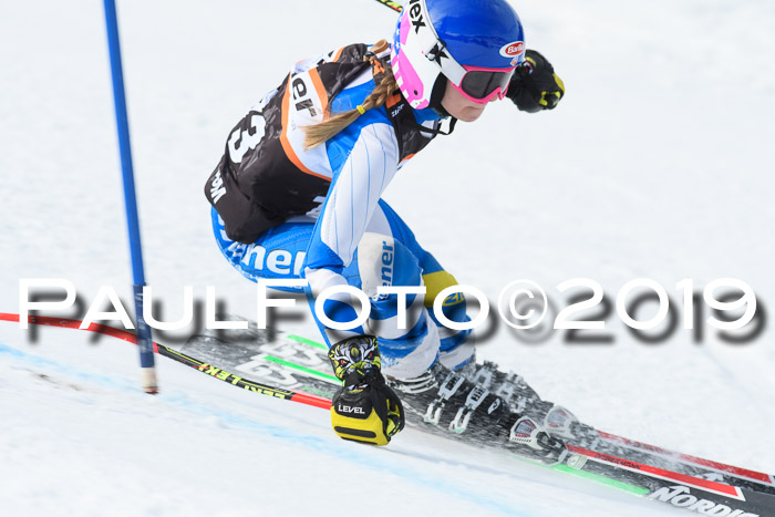 Ziener Cup WF, RS, 24.02.2019