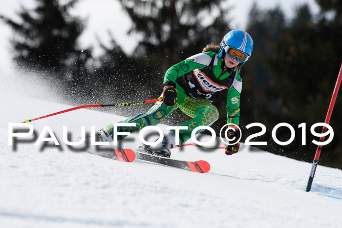 Ziener Cup WF, RS, 24.02.2019