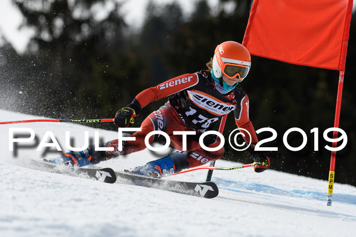 Ziener Cup WF, RS, 24.02.2019