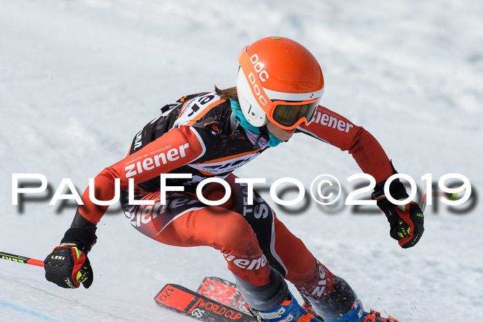 Ziener Cup WF, RS, 24.02.2019