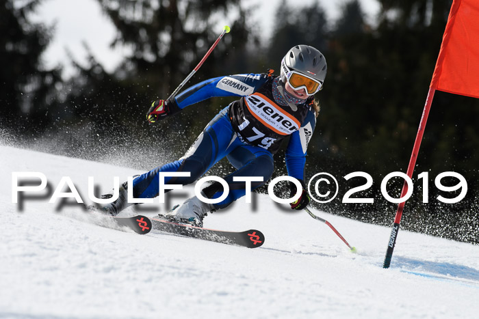 Ziener Cup WF, RS, 24.02.2019