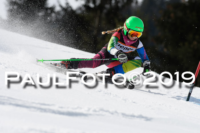 Ziener Cup WF, RS, 24.02.2019